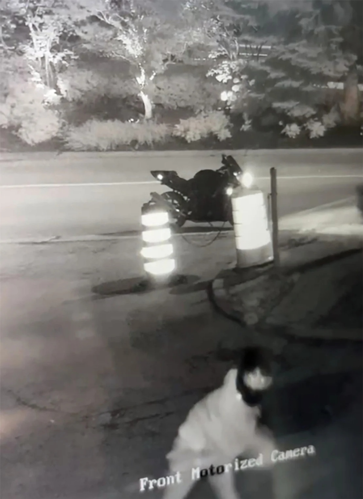 容疑者の写真/Toronto Police Service