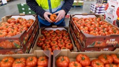 ＥＵ離脱は英国の貿易を「深刻に抑制」、今後悪化の恐れ　