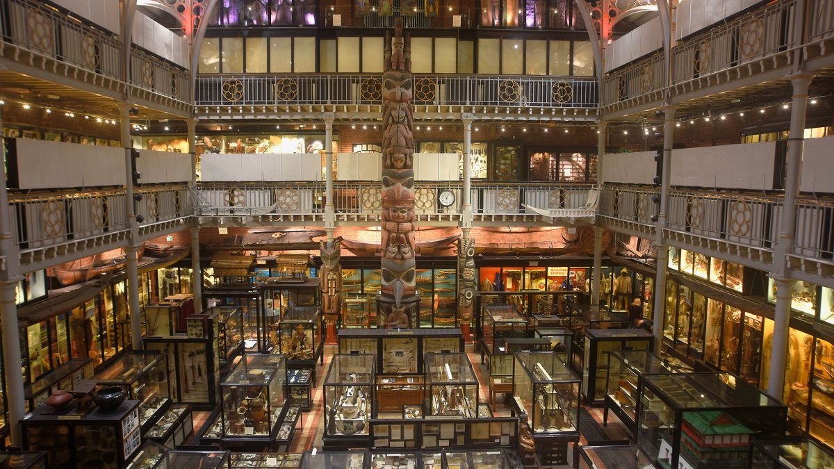 英ピットリバース博物館の展示