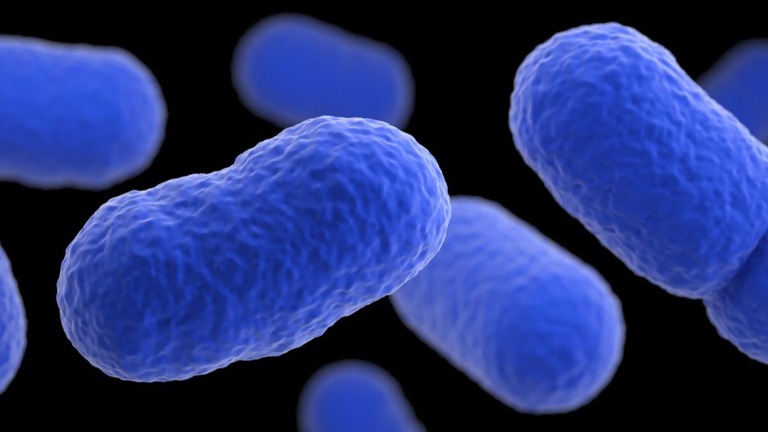 リステリアは、米国で食中毒による死因の３位であるリステリア症を引き起こす/CDC