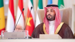 サウジ皇太子、イスラエルを非難　ガザで「集合的ジェノサイド」