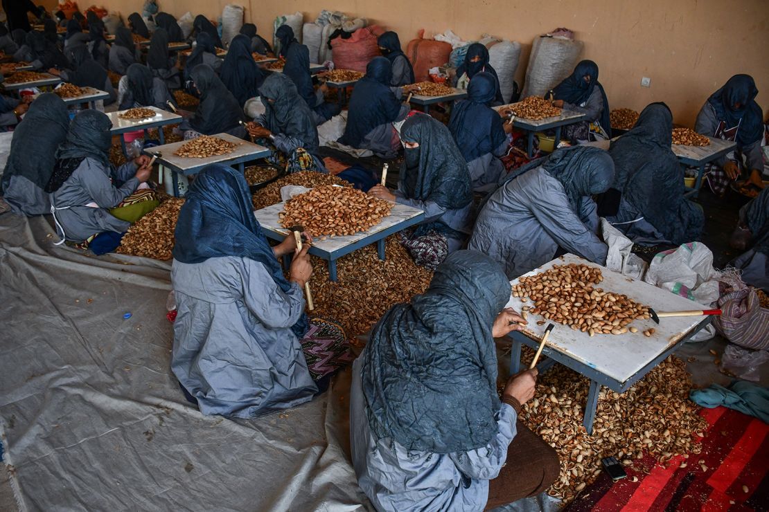 工場でアーモンドの準備をするアフガニスタンの女性たち=9月、アフガニスタン・サマンガン州/Atif Aryan/AFP/Getty Images