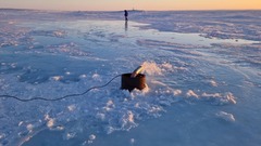 北極圏の海水を凍らせ、海氷の厚みを増すプロジェクト　有望な結果も科学者は「深刻な影響」懸念