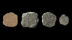 新石器時代に埋められた「太陽の石」、気候変動後の捧げ物か　デンマーク