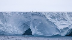 世界最大の氷山「Ａ２３ａ」、南大西洋の島に衝突する恐れ