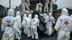 コンゴ民主共和国の紛争、武装勢力が人道停戦を宣言