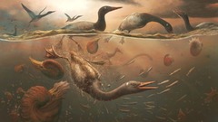 最古の現生鳥類の化石、南極で発見