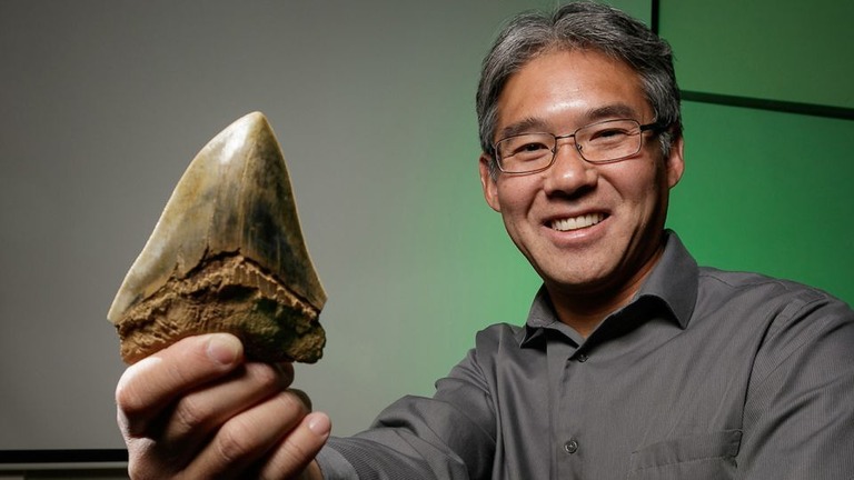 メガロドンの歯を手にした古生物学者の島田氏/Jeff Carrion/DePaul University