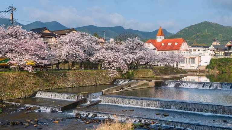 嬉野温泉公園の桜並木と公衆浴場「シーボルトの湯」/blanscape/iStockphoto/Getty Images