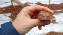 雲南省で発掘の石器、作ったのは誰？　ネアンデルタール人が中国に流入か