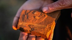１６００万年前の魚の化石発見、最後の餌もそのまま残る　豪