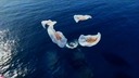 スペースＸの宇宙船帰還、民間人４人が初の両極上空飛行に成功