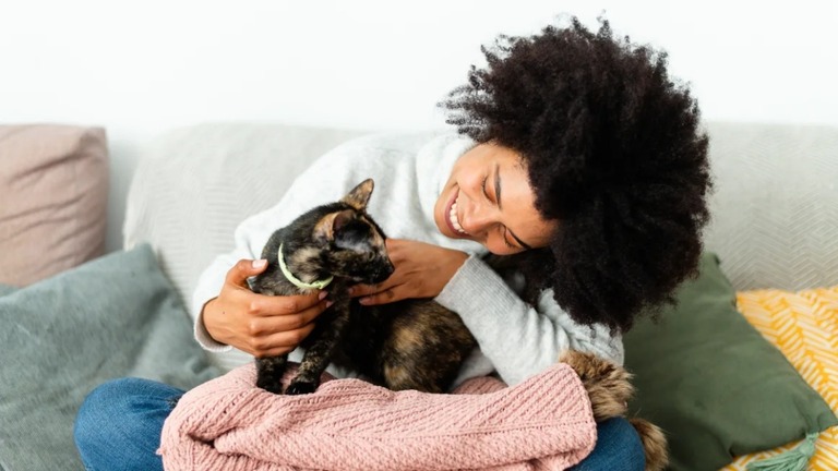 猫や犬を飼うことは、結婚するのと同じくらいウェルビーイング（心身の健康や幸福）を高める可能性があることが明らかになった/Kala Studio/Moment RF/Getty Images