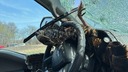 七面鳥がフロントガラスを突き破る、ドライバーに警戒呼び掛け　米ミシガン州