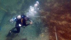 コスタリカ沖に沈む残骸、海賊船ではなく奴隷船　海洋考古学者らが発見