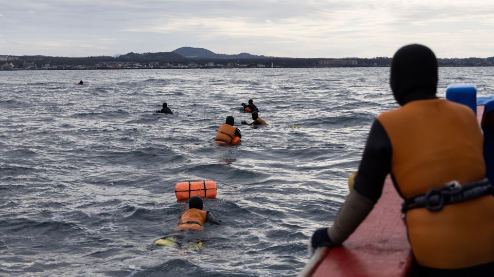 海女たちは一日のかなりの時間を海中で過ごす。繰り返し海に潜り、ウニやアワビといった海産物を採取する/SeongJoon Cho/Bloomberg/Getty Images