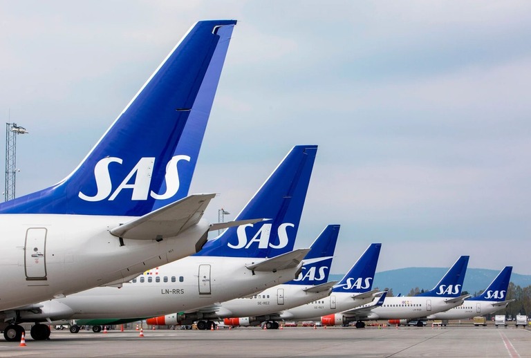 １５の異なる航空会社で１５便に乗れば１００万マイルを付与――。スカンジナビア航空（ＳＡＳ）がそんなキャンペーンを行った