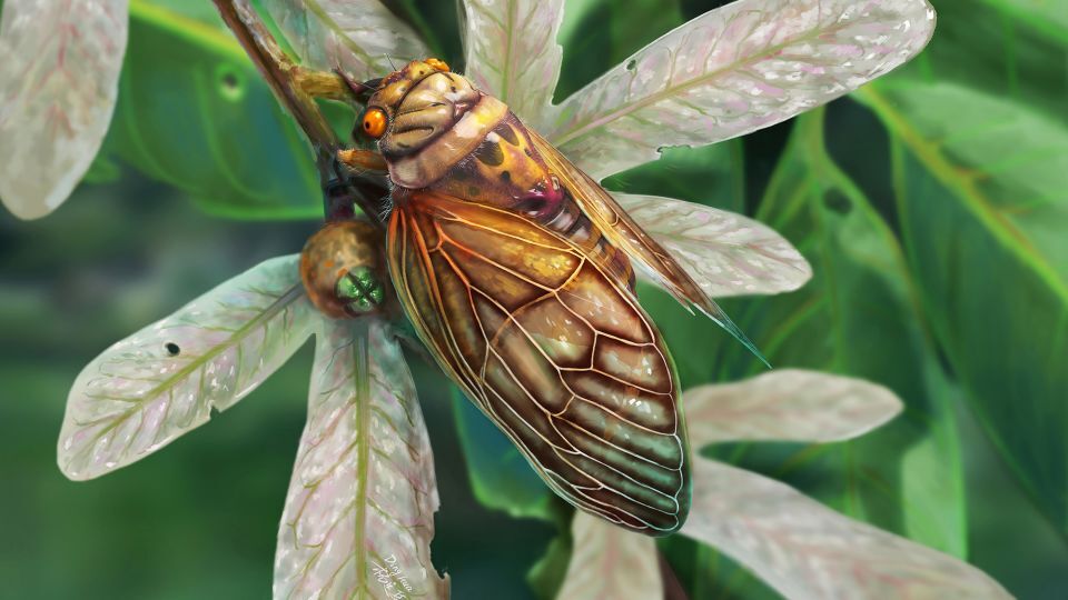 新たに命名された太古のセミ「Eoplatypleura messelensis」の再現画像/Dinghua Yang