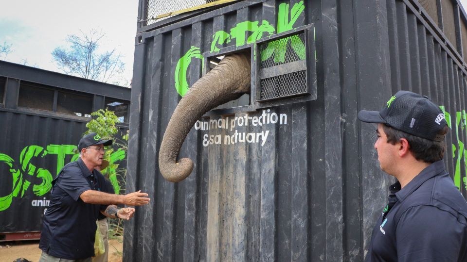 保護区から移動する際、飼育係に餌をもらうゾウ/Ivan Medina/AFP via Getty Images