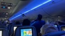捕まえて出発したらもう１羽、鳥の「密航」騒ぎで旅客機に遅れ　米