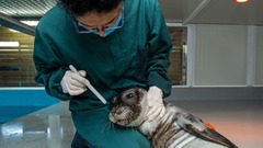 ＭＯｍはチチュウカイモンクアザラシの保護に取り組むＮＧＯのひとつ。生息地の地図化や個体数のモニタリングを行い、親を失ったり負傷したりした個体のために専用リハビリ施設を運営している。一般市民の意識改革に取り組んでおり、「以前の漁師は我々を敵視していたが、今では私たちのネットワークの一員となりつつある」（ツィアカロス氏）という