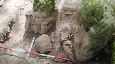 ３０００年前のマヤ文明の遺跡を発見　中米グアテマラ
