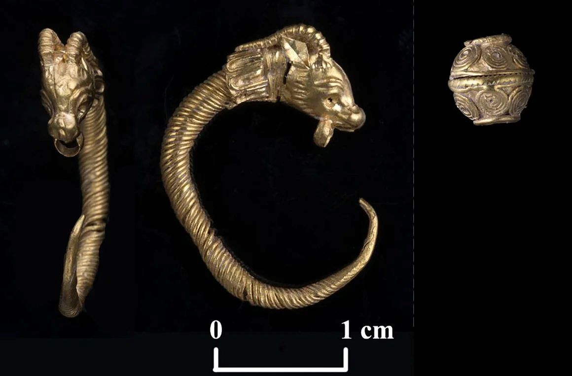 指輪と共に出土した同時代のものとみられる装飾品/Clara Amit/Israel Antiquities Authority