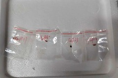 生物学的病原体の密輸試みた疑い、中国人研究者２人を訴追　米検察