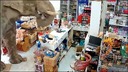 野生のゾウがコンビニでつまみ食い、店主「おやつが欲しかっただけだと思う」　タイ