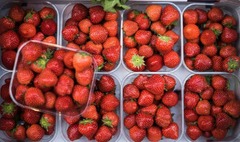 残留農薬ワーストランキング２５年版　トップ２はホウレンソウとイチゴ、ジャガイモも再浮上　米団体