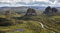 ６千年前の遺骨から未知のＤＮＡ、既知の祖先や子孫存在せず　コロンビア