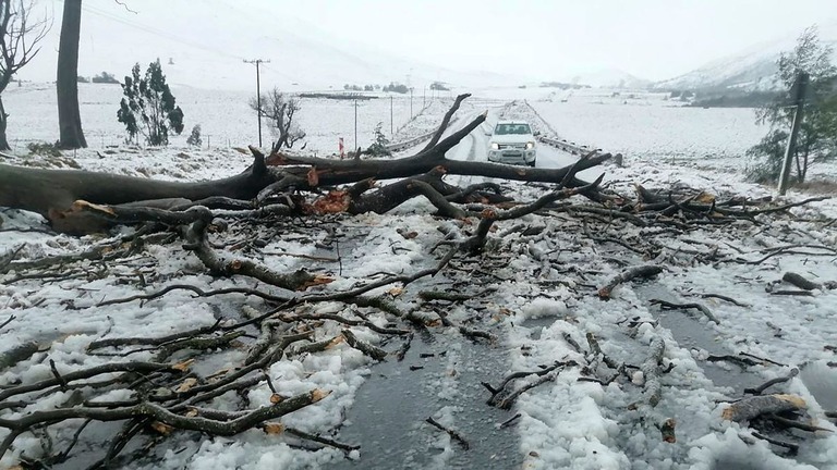 雪に覆われた道路＝１０日、南アフリカ/Greater Kokstad Municipality/AP