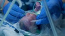 イスラエルの病院で三つ子出産、イランの攻撃で地下に移転