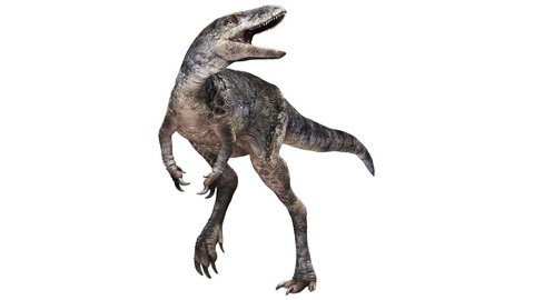 「竜の王子」を発見、ティラノサウルスの進化に新たな理解　大移動が生んだ多様性
