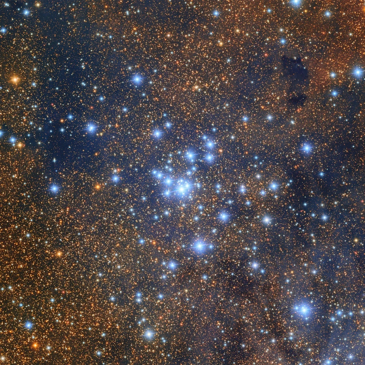 三裂星雲の近くにある散開星団メシエ21は若くて小さく、暗い星の集まりだ/RubinObs/NOIRLab/SLAC/NSF/DOE/AURA
