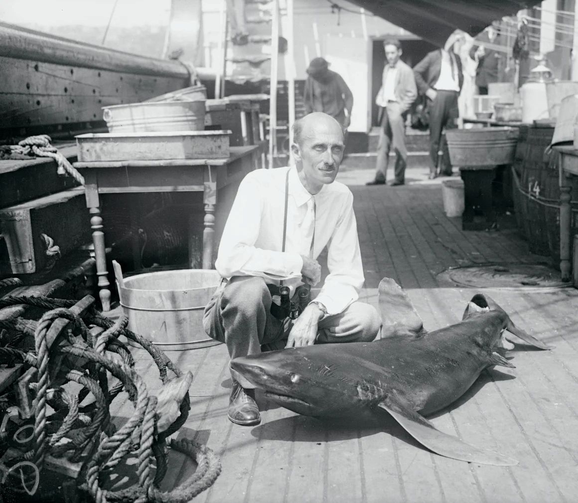 1925年7月、シロワニと共に写真に収まる博物学者のウィリアム・ビービ。6カ月間の調査旅行で収集した数千匹の魚の一匹だ/Bettmann Archive/Getty Images