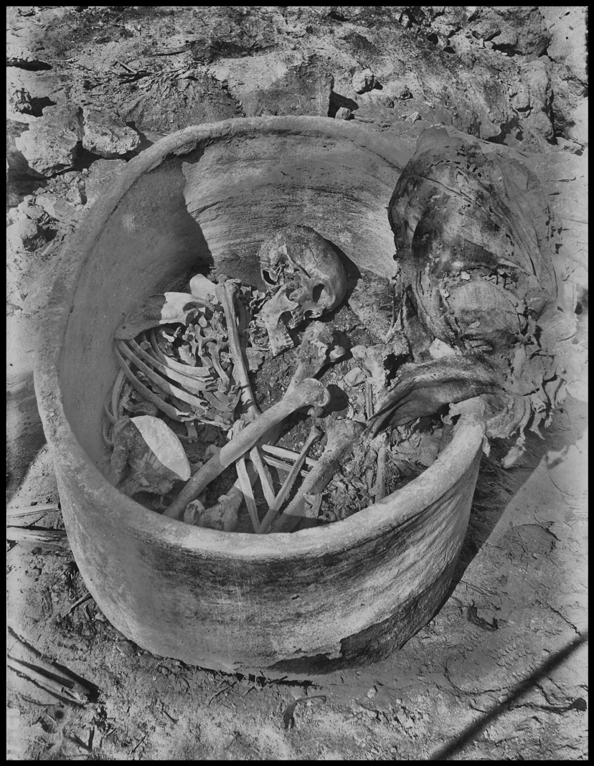 遺骨は現在、英リバプールの世界博物館に保管されている