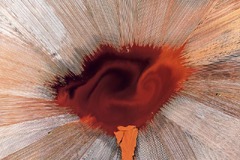 西オーストラリア州コリーのアルミナ鉱山の鉱滓（こうさい）ダムを捉えた写真。抽象写真部門賞を受賞