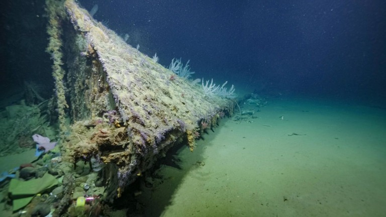 ソロモン諸島沖のアイアン・ボトム・サウンドの海底に横たわるニューオーリンズの艦首/Ocean Exploration Trust