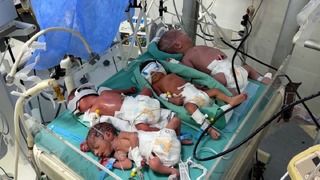 「あと数時間で大勢が死ぬ」　保育器１台に複数の乳児、ガザの燃料不足が危機的状況に
