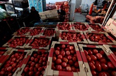 米国のトマト価格、１４日に値上がりの可能性　関税のつけは消費者や飲食店に