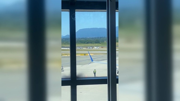 盗まれた小型機は最終的に無事着陸し、すぐに警察に包囲された/@YyJdaniel/X