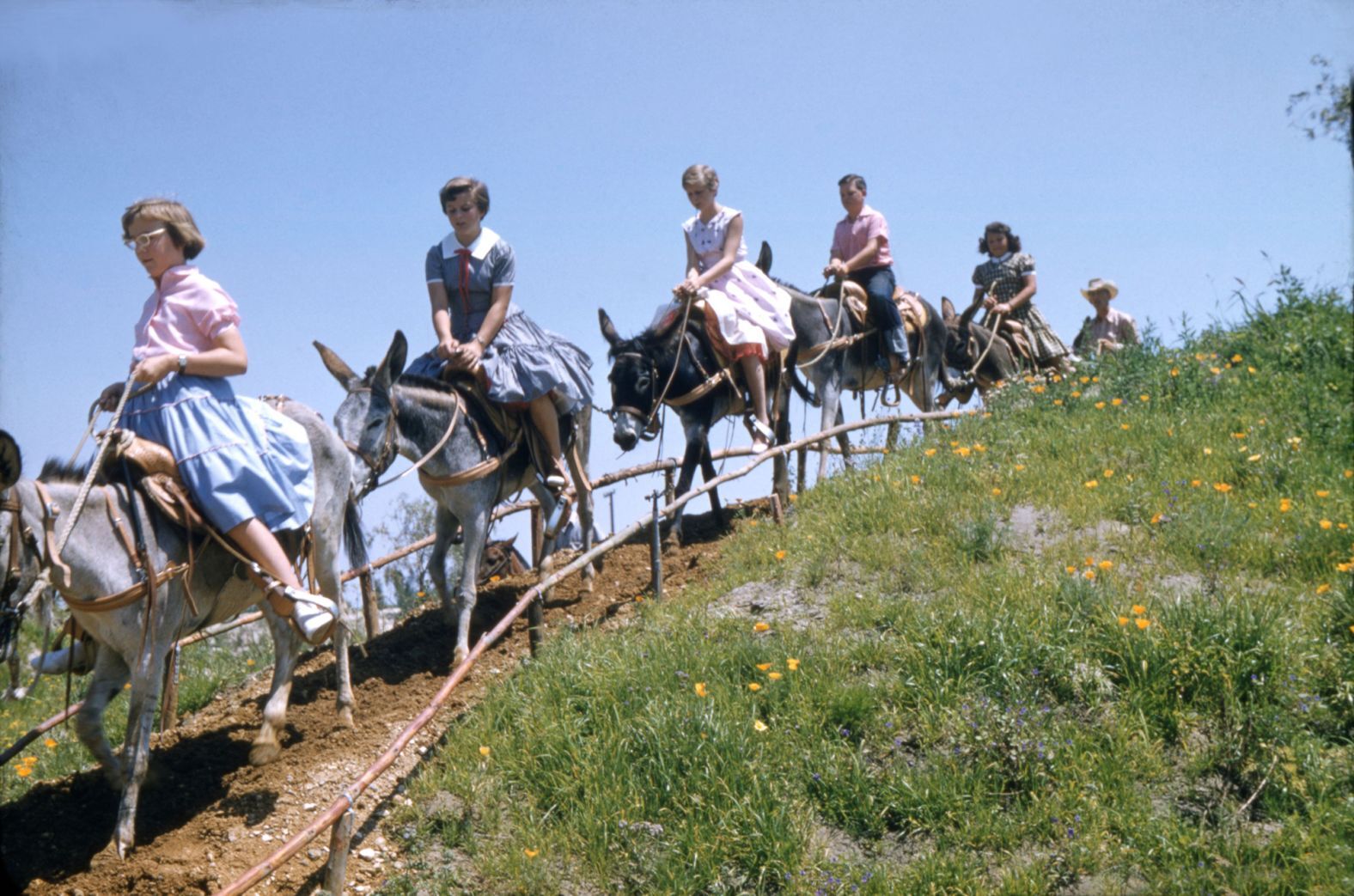 公園でロバに乗る人々/Loomis Dean/The LIFE Picture Collection/Shutterstock