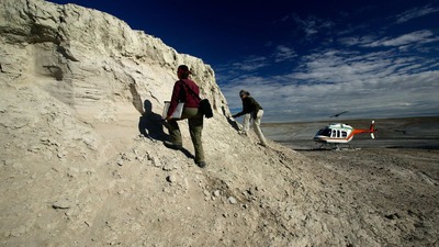 ２４００万年前のサイの化石からたんぱく質取り出す、次は恐竜？
