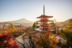 ２位：日本、韓国