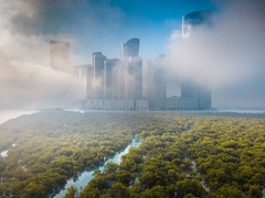 アラブ首長国連邦（ＵＡＥ）ドバイを背景に広がるマングローブ林。「空から捉えた」風景の部門で受賞した