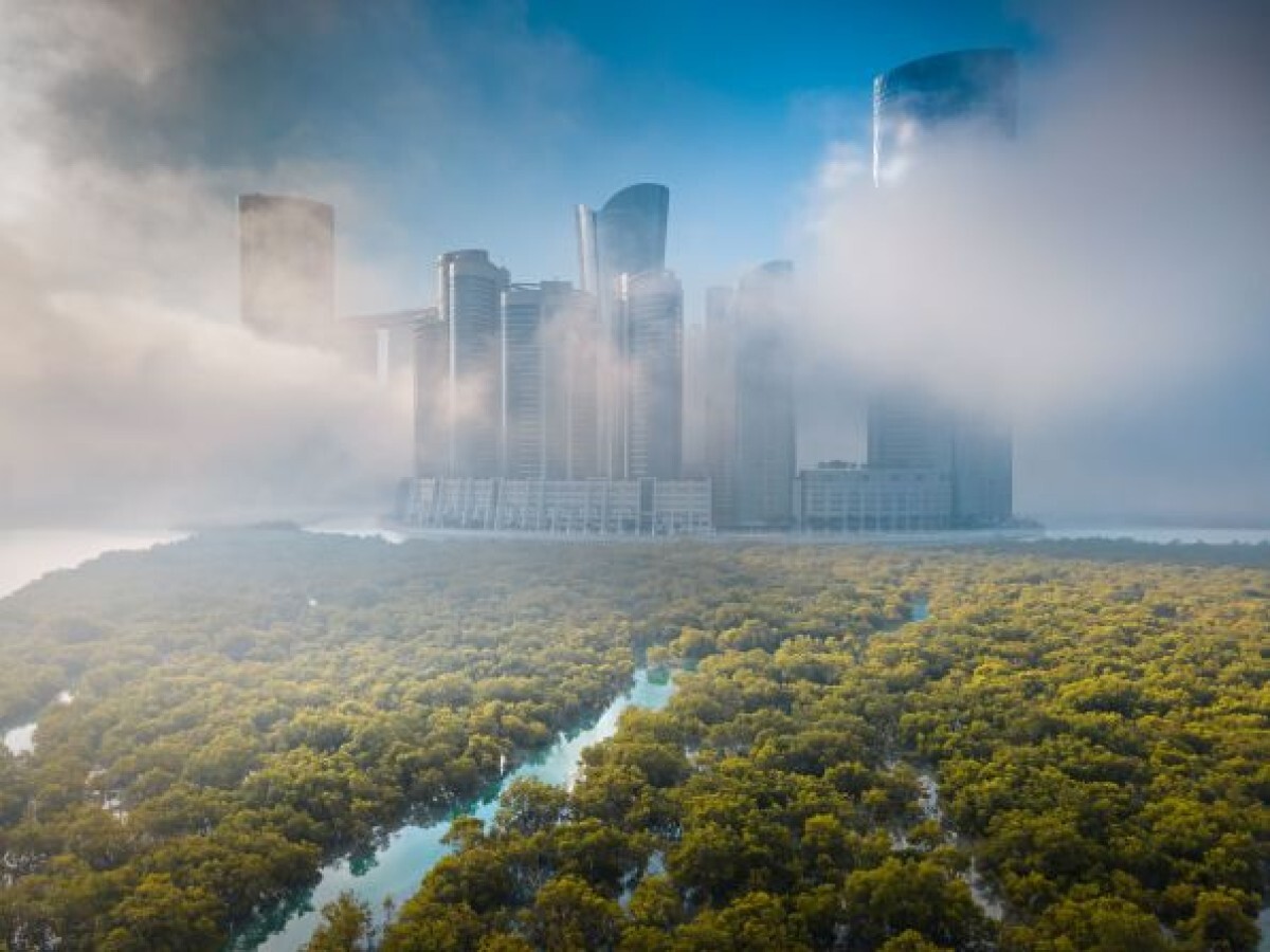 アラブ首長国連邦（ＵＡＥ）ドバイを背景に広がるマングローブ林。「空から捉えた」風景の部門で受賞した/Ahmed Badwan/Mangrove Photography Awards