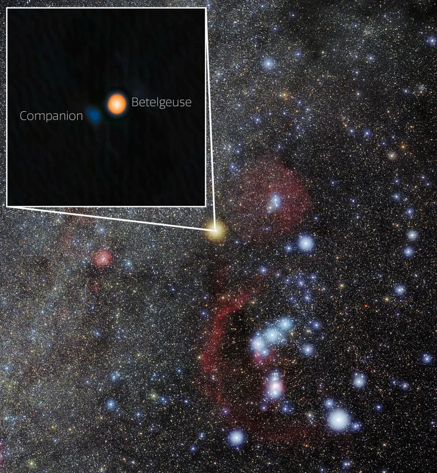 ベテルギウスの位置を示したオリオン座の画像/International Gemini Observatory/NOIRLab/NSF/AURA