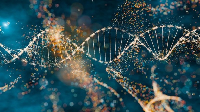私たちのＤＮＡには古代ウイルスの残骸が取り込まれている/TanyaJoy/iStockphoto/Getty Images