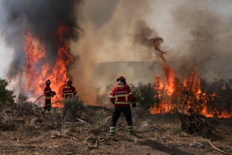 山火事の消火活動にあたる消防士＝１１日、ポルトガル・トランコソ/Patricia de Melo Moreira/AFP/Getty Images